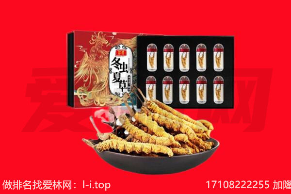 东莞市石碣镇回收虫草.jpg